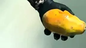 Watch me fuck a papaya for the first time, I loved it! 🍍😋