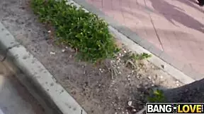 Bangbus Strikes Again Broke College Students Wild Ride