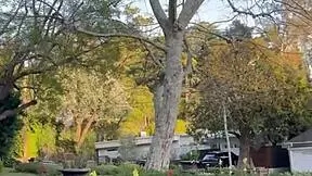 This is the free safe version of my first ever porn log