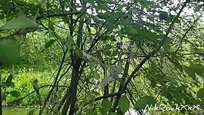 evelina darling cocky bitch who shows tits in public and sucks dick in dangerous zones