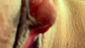 She shouted my name during the event, rosa vermelha