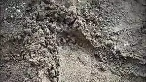 Sexo público en la playa con una desconocida mamando 😏