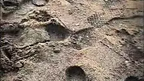 Sexo público en la playa con una desconocida mamando 😏