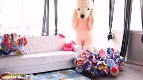 Bambolina's First Anal and Pee Scene Submissive Video