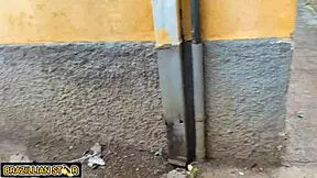 A filha do patrão da fazenda chamou o peão pro meio do mato pra tirar a virgindade dela