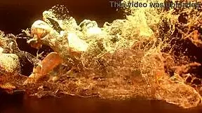 Lenis diamond grips monster cock in tight ass