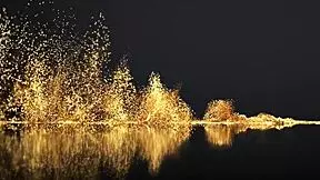 chanel west naked fun with pov sucking and fucking creampie pool solo masturbation with toys at the pool