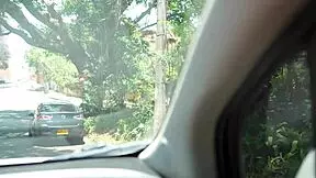 found this delicious girl in the city and drove her around