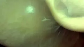 neighbor enters shower and puts dick in mouth