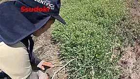 tengo sexo en medio del campo sexo en publico porque me encanta experimentar follar mientras es mas arriesgado