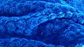 stepsister's virgin pussy gets fingered to orgasm - oh god, it's so wet!