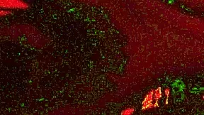 Kali Ryder, are you ready for fucking in the sex dungeon?