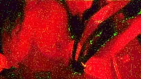 Kali Ryder, are you ready for fucking in the sex dungeon?