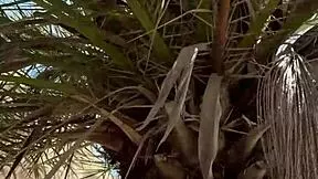 The Busty Girlfriend Flashes On Nudist Beach San Diego