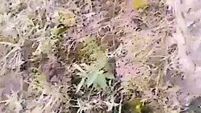 Outdoor encounter with stranger watching for days