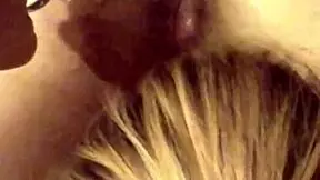 Stallion Milker S5: Anal Toys And Gaping Fun