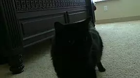 Nicole Ray Rests Ass on April Oneils Tits for Deep Fucking