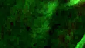 Watch my first squirting orgasm explode!