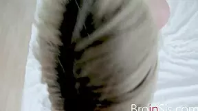 Jane wilde rides her stepbrother with her hairy cunt in taboo fantasy