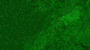 Crazy 18 Yo Girl Pees In Panties On Public Beach