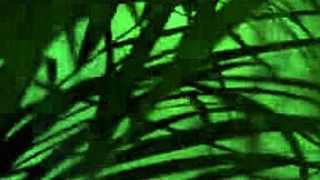 Teen Virgin Anal Fucked