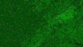 Crazy 18 Yo Girl Pees In Panties On Public Beach