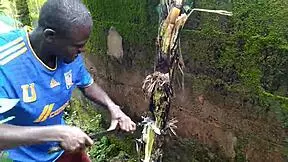 young couple enjoys oiled sex in garden