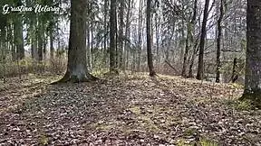 Shy Russian Girl Gave Me Slobbery Blowjob On First Date In Wood