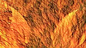 Nelly Experiences Intense Bang And Multiple Orgasms