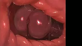 Whisperingfornothing Анимированная фурри порно компиляция спермой