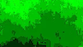 Licking lib pussy and ass fucking pussy and ass