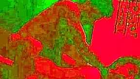 Birthday Dinner Ends Passionately