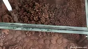 Ibiza Trip Clothes Ripped by Young Blonde Spanish Teen