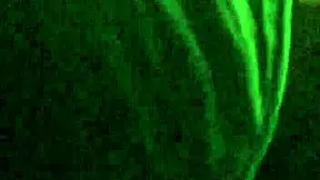 my ebony pussy eater dives into big clit and nasty muff