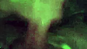 New Video Discounted Video