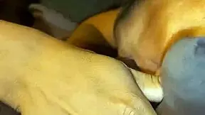 I always wanted threesome with neighbor and stepsister.