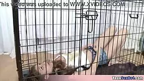 Teen with curly hair serves as personal sex bot, enjoying machine blowjobs