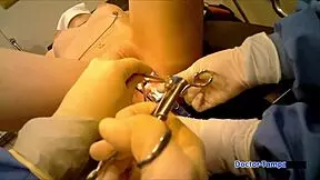 dr tampa - tampa university entrance physical - stacy shepard