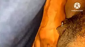 The wife cheats on her cuckold husband with a well-endowed black guy on the street after running out of gas, and the husband thanks him.