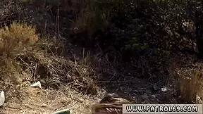 Cop Stops Brunette Teen For Traffic Violation And Pulverizes Her Mouth Tight Pussy And Asshole