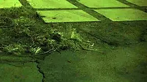 the step mom punishes her comrade boss, but she's desperate to get home