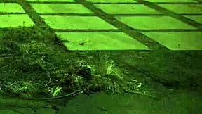 Trample me in domination