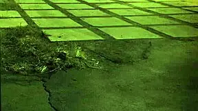 Trample me in domination