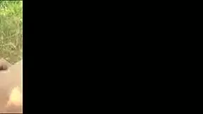 happy and hans enjoy kisses caresses in the field