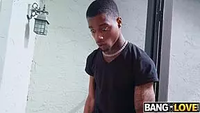 the pornstar fantasy arietta adams damion dayski