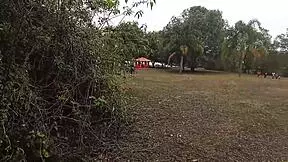 Guy Pays To See My Pussy In Ecological Park, So I Show Him In The Bush