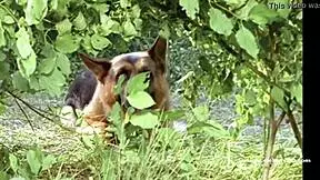 Sabine Petzl in Kommissar Rex: Ein Moerderischer Sommer 1994.