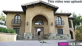 Transsexual girlfriend experience natalie mars will havoc with blowjob and hardcore action