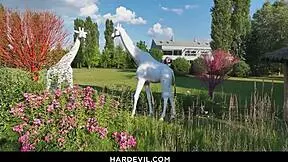 Cute redhead gets assfucked!