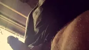 Lluvia De Penes By Bad Wolf28